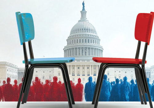 The Impact of Grassroots Organizations on Voting Campaigns in Northern Virginia